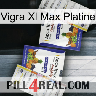 Vigra Xl Max Platinum 12